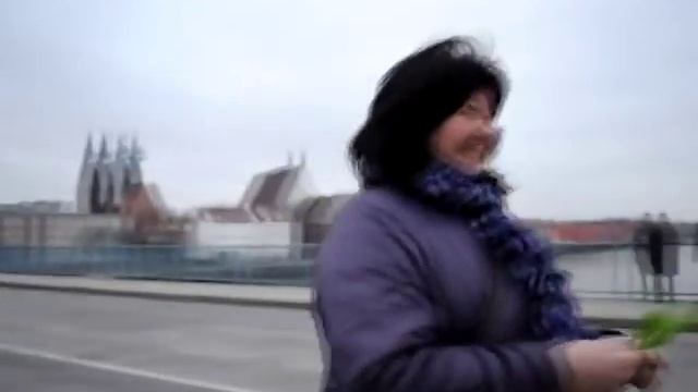 Tulips day - День тюльпанов смотреть онлайн