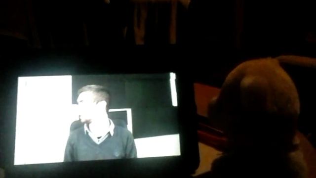 Bonnie and Golden Freddy react Jacksepticye! Viewer discretion is advised! смотреть онлайн