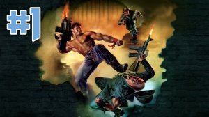 Brutal Wolfenstein 3D - Добро Пожаловать в Замок Вольфенштейн #1