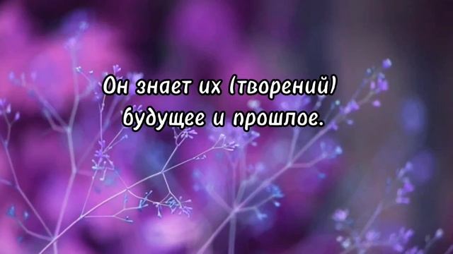 Аят Аль-Курси , Чтец Мухаммад Тарик. Защитит от колдовства, очень сильный аят . смотреть онлайн