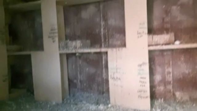 НИКОЛАЕВСКИЕ ГОЛУБИ. ВСЕ НАШИ ГОЛУБЯТНИ. смотреть онлайн