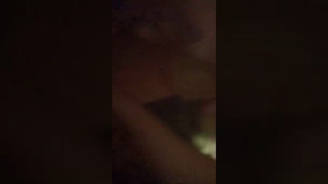 спай Леон сенди смотреть онлайн