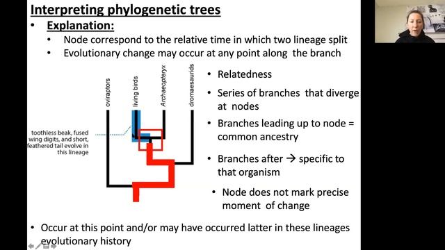 Sync Lecture Recording (10:10) - 2/24/2021 смотреть онлайн