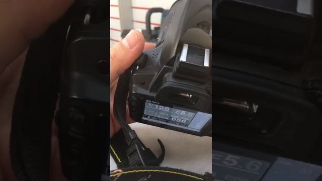 24 мая 2021 г. смотреть онлайн