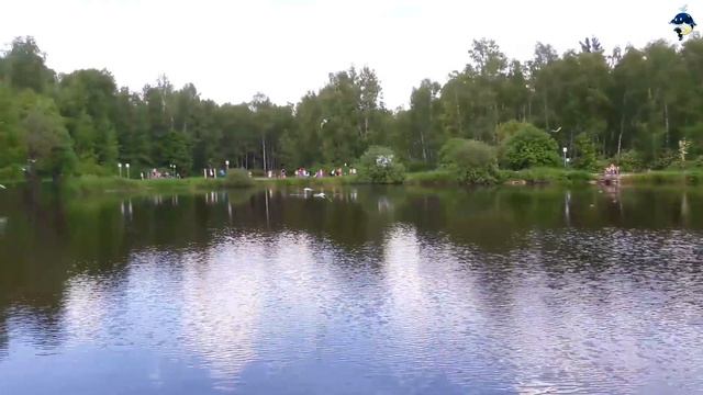 ВЛОГ. Прогулка в лесу / Мы видели СПЯЩЕГО ЛОСЯ / Катаемся на ЛОШАДЯХ смотреть онлайн