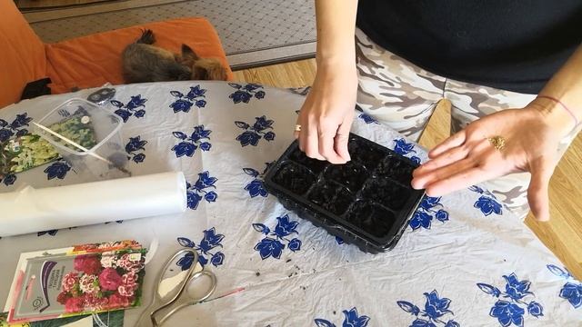 Подготовка к дачному сезону смотреть онлайн