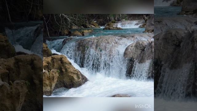 RROSALÍ -Autor: Bersain López (San Marcos Huista)