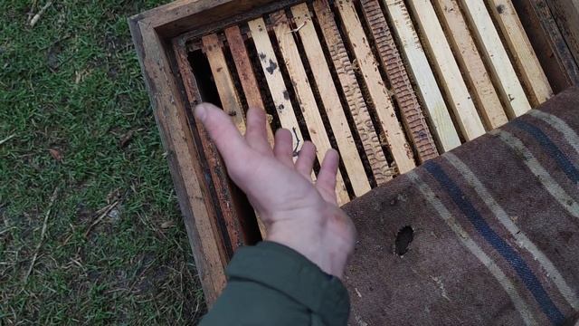 Как зимуют пчёлы в старых ульях за 600 гр что ОЧЕНЬ ВАЖНО ЗНАТЬ влага лишние рамки в гнезде ✅☝️? смотреть онлайн