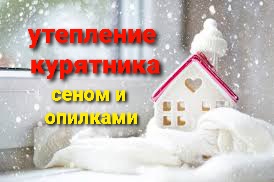 Утепление стен курятника сеном и опилками