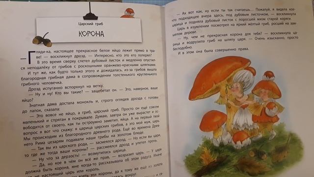 Истории сказочного леса. Лесные малыши. Царский гриб. Корона. смотреть онлайн