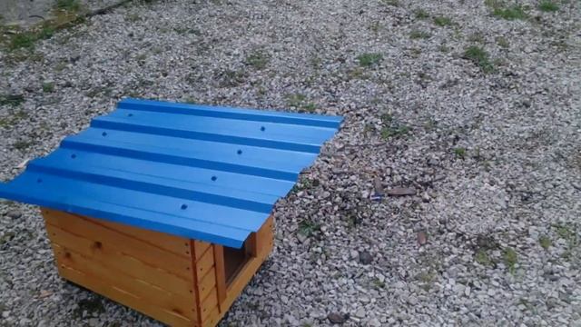 Будка односкатная мини смотреть онлайн