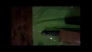 НОЖНЫ ИЗ ПЛАСТИКОВОЙ БУТЫЛКИ ЗА НЕСКОЛЬКО МИНУТ