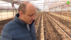 Подготовка почвы в теплице. Правильный состав грунта - залог богатого урожая!