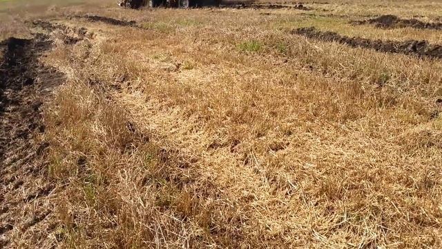 Niva sk 5 // Нива СК-5 смотреть онлайн