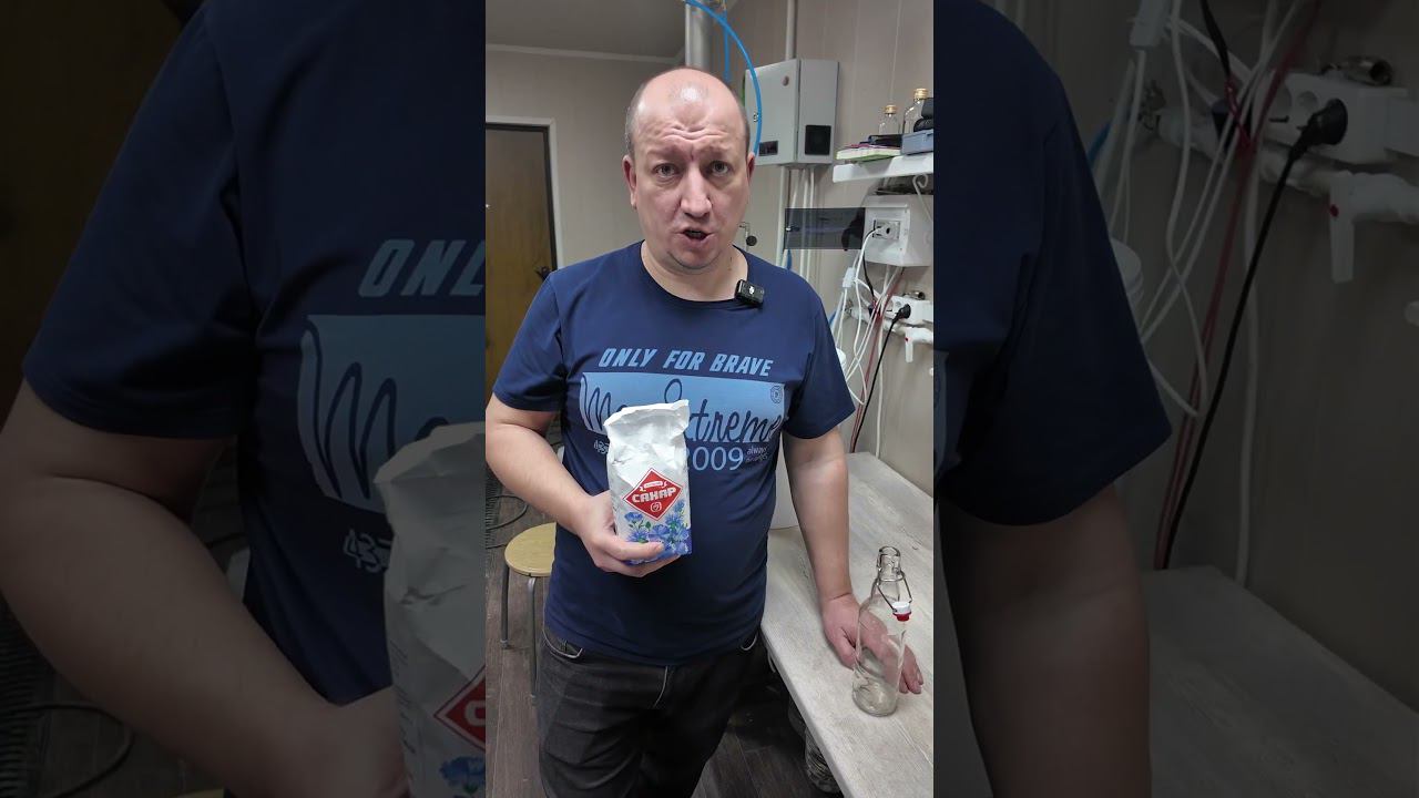 Как сделать настоящую медовуху #самозванцы #shorts смотреть онлайн