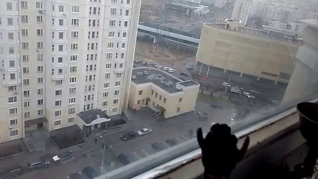 НЕНАВИСТЬ ВРАГОВ ПОЛЕЗНА (видео из архива) Инга Хосроева ВЕДЬМИНА ИЗБА