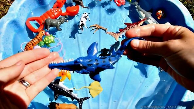 Learn With Wild Zoo Animals Blue Water Big Shark Toys For Kids смотреть онлайн