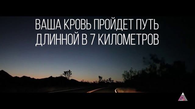 Что делает Ваше тело за 30 секунд смотреть онлайн