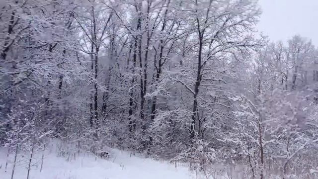 Лыжня 2013. Скоростной спуск с горы