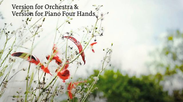 The Firebird: Entrance of the Thirteen Enchanted Princesses смотреть онлайн