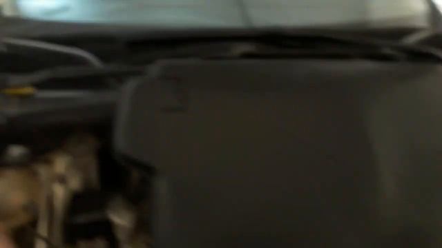 Чистота и радость в каждом движении