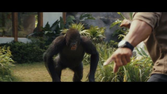 Acquaintance with Gorilla George ''Rampage''(2018) (1/8) смотреть онлайн
