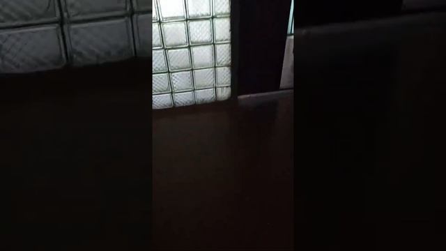 Люминесцентный светильник "МАТРËШКА" смотреть онлайн