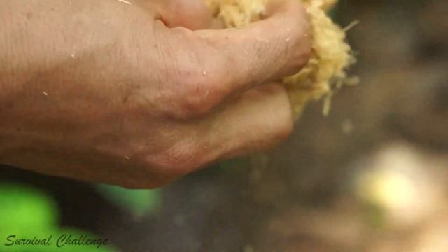 Survival Skill - Survival Challenge: Find Water And Create Primitive Fire смотреть онлайн