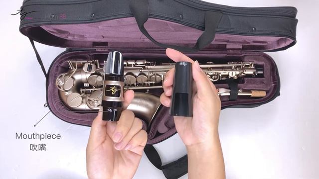 Trevor James Horn 88 | Frosted gold alto sax with a 'Big Voice' | Unbox | 色士風開箱 смотреть онлайн