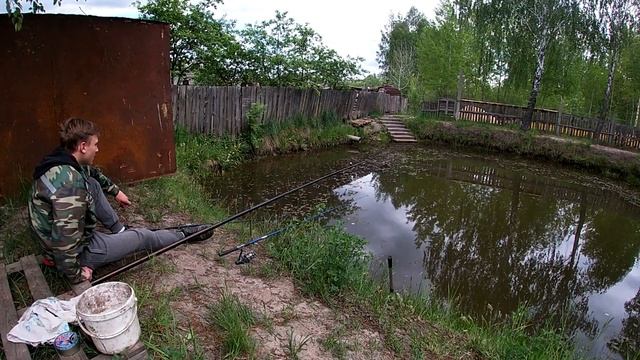 ОФИГЕЛ от РЫБАЛКИ на СВОЁМ ПРУДУ! ОГРОМНЫЙ ЛИНЬ, КАРАСИ, ПОРВАЛАСЬ ЛЕСКА. смотреть онлайн