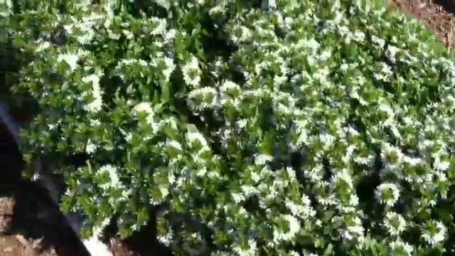 Hot New Varieties Debut at Season Premiere