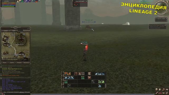(24+) Bring Out the Flavor of Ingredients! (Dion) (Итем) Lineage 2 смотреть онлайн