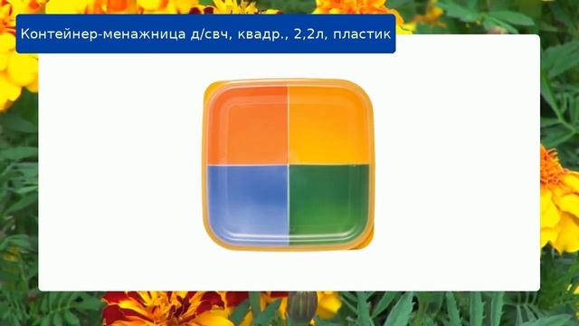 Контейнер-менажница д/свч, квадр., 2,2л, пластик обзор смотреть онлайн
