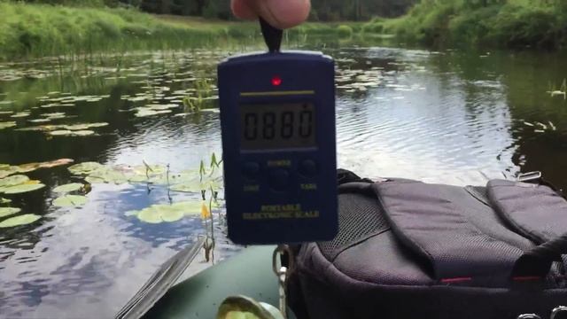 Рыбалка на реке Медведица.С приманками от Fish Snack/Силиконовые приманки смотреть онлайн