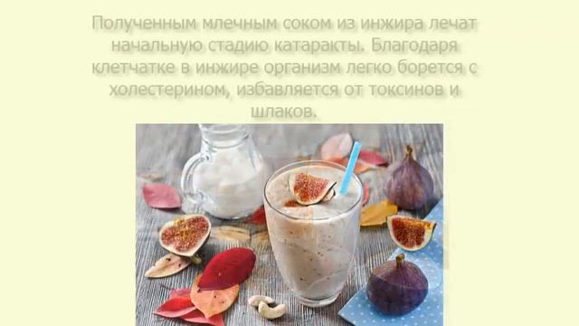 Секреты инжира для здоровья смотреть онлайн