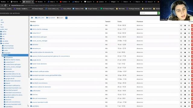 ¿Cómo es el CPanel de Don Web? ¿Es fácil de usar? FEROZO 2022 смотреть онлайн