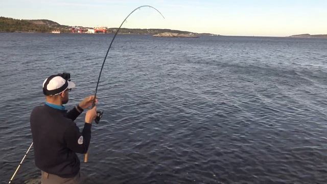 Вышли с удочками на берег фьорда! Такого я не ожидал!Рыбалка в Норвегии! Норвегия. Рыбалка. Мольва смотреть онлайн