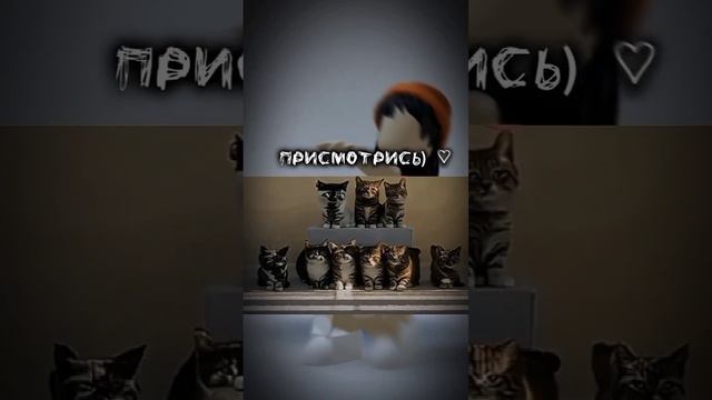[you're a cat]...~ #roblox #роблокс #игра #ты #факты #игра смотреть онлайн