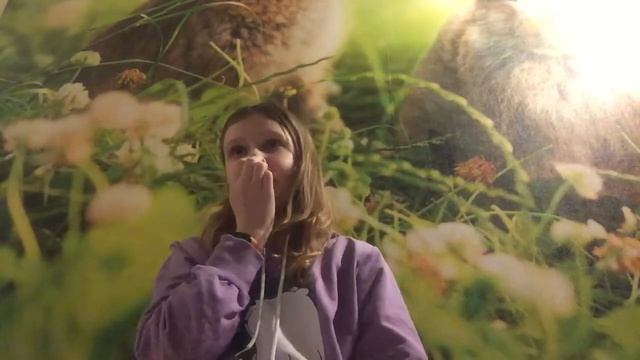 Ли я стени мои песни звук мой смотреть онлайн