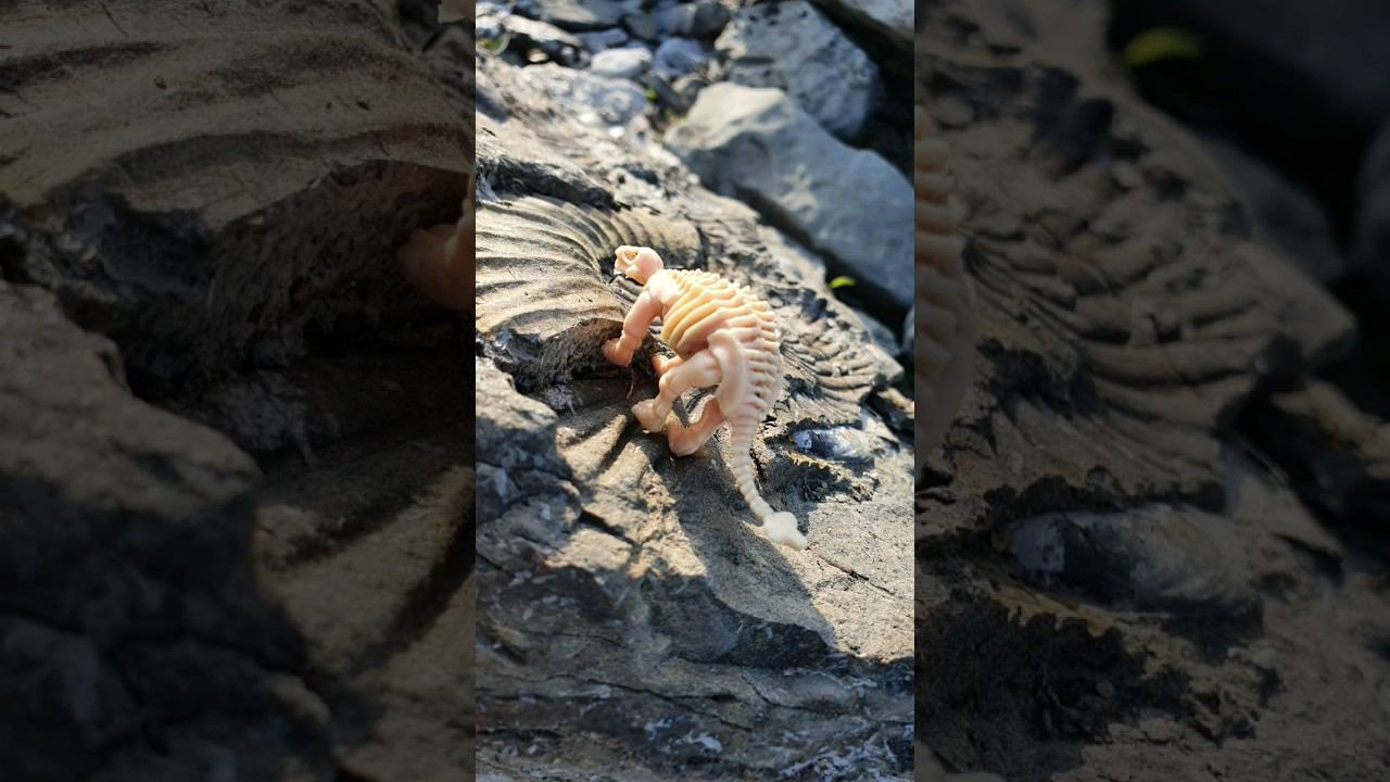 Начнем утро с красоты... #путешествия смотреть онлайн