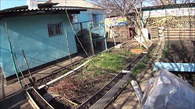 ПРОБУЖДЕНИЕ ВЕСНЫ И МОЕГО КАНАЛА .ЦАРСКИЕ КОРОНЫ И НАРЦИССЫ . смотреть онлайн