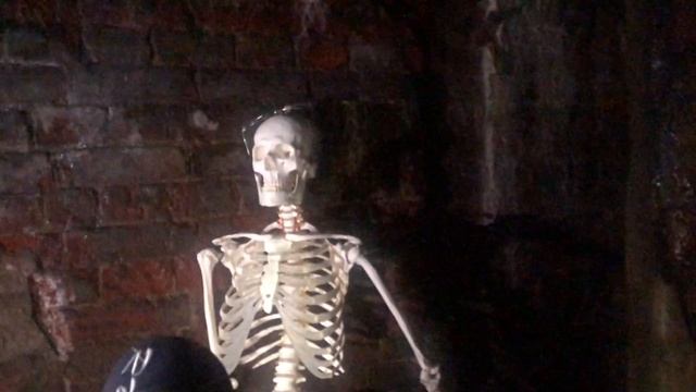 Форты Кронштадта. История и значение фортов смотреть онлайн