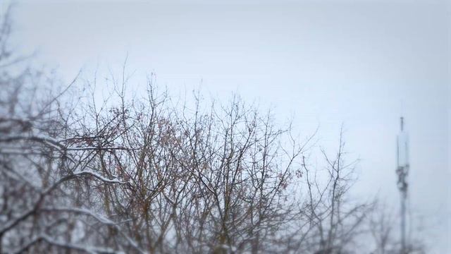 Безопасность дорожного движения смотреть онлайн