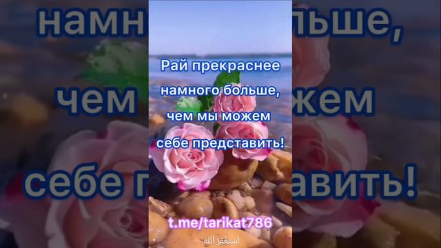 Рай прекрасен Сестра🌸