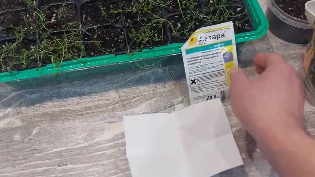 Строительный Квест