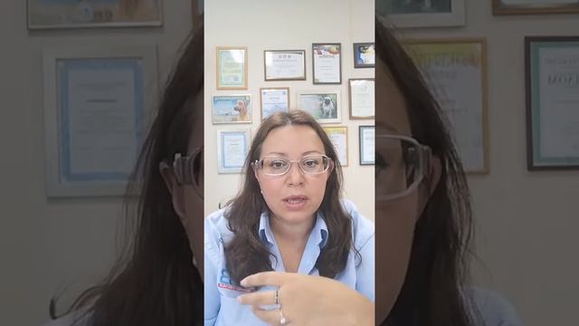 Дирофиляриоз у собак