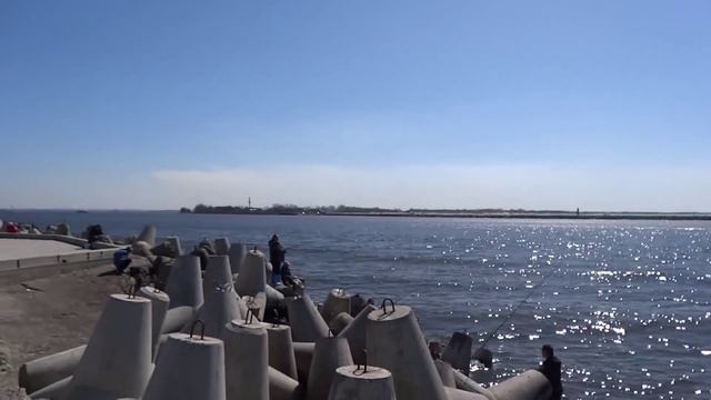 Выезд в Балтийск (Пиллау) на рыбалку на Салаку. смотреть онлайн