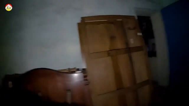 Редкая находка Гнездо европейского шершня в гнезде азиатского шершня смотреть онлайн