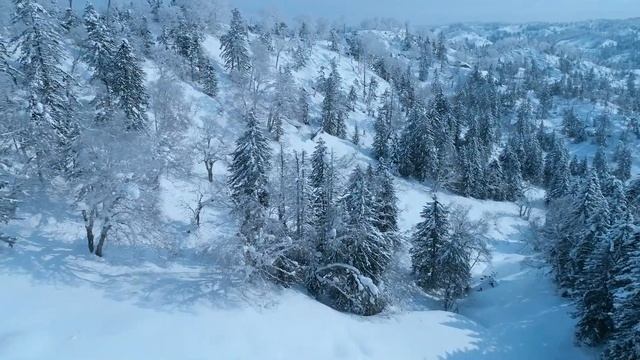 Виталий Карталов Сахалин смотреть онлайн