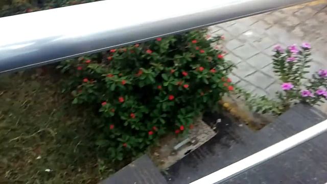 Estamos aqui com o Chevrolet Cobalt 2016 da linha смотреть онлайн